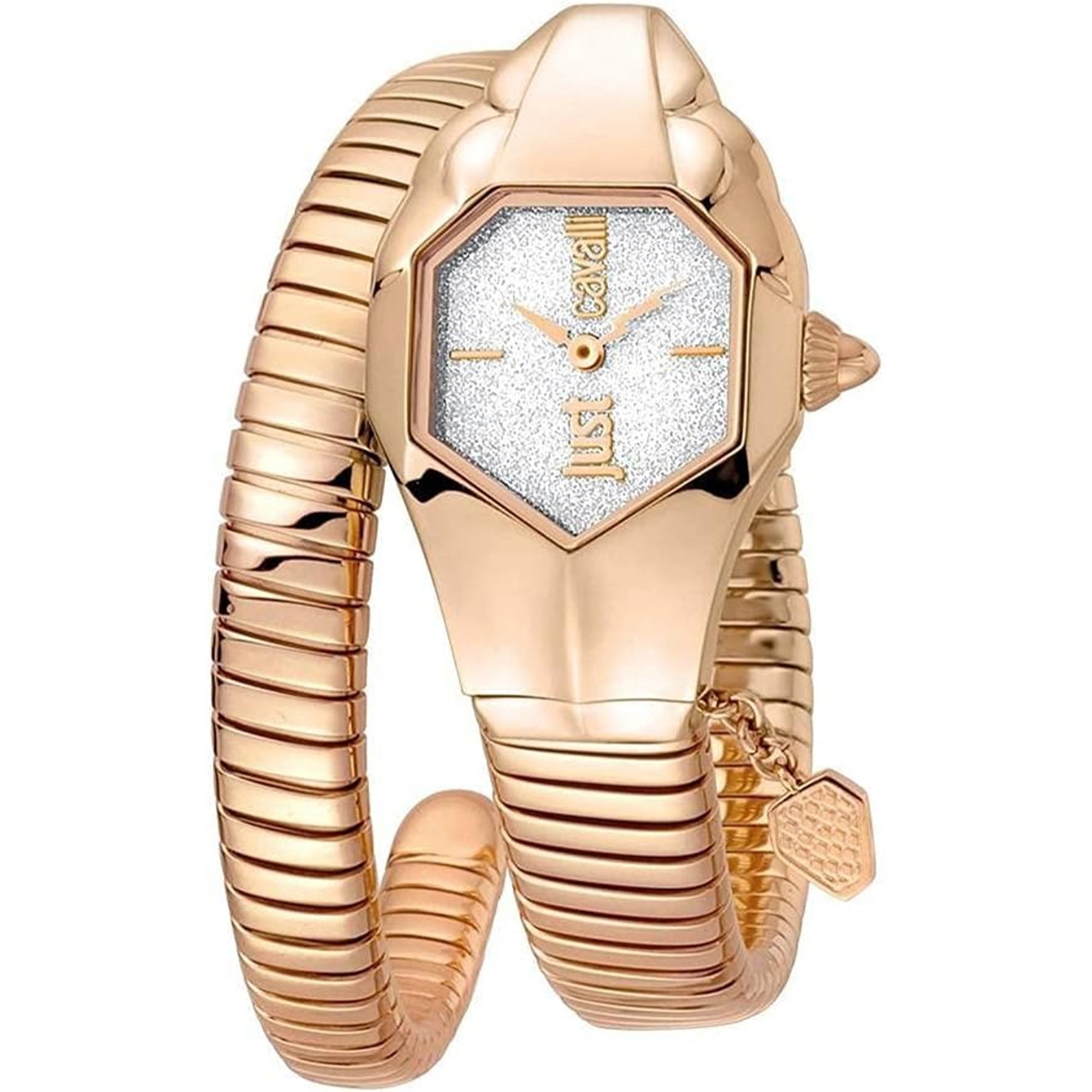 Just Cavalli Quartz Septagon Silver Dial Women's Watch JC1L001M0155
