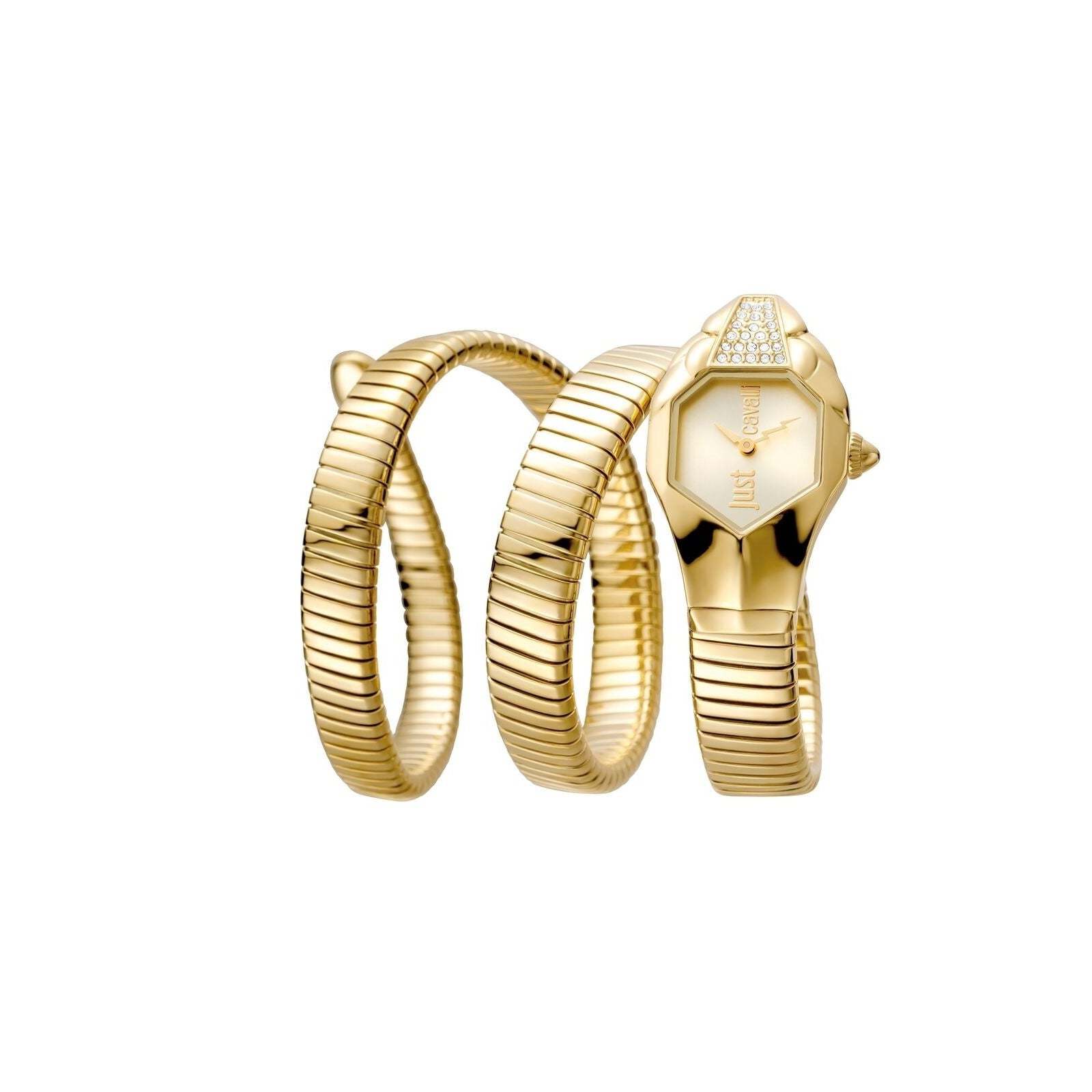 Just Cavalli Glam Chic Quartz Gold-Tone Dial Women's Watch JC1L022M0025