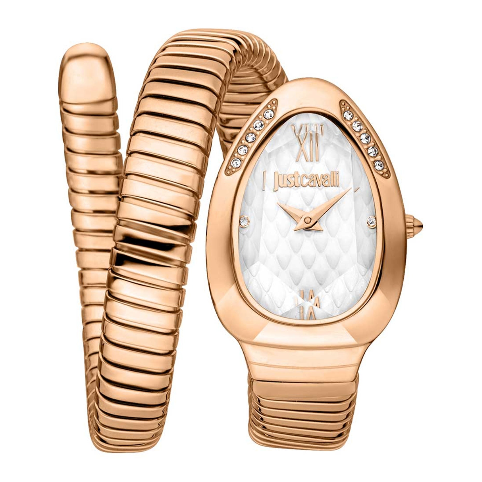 Just Cavalli Quartz Taglio Silver Dial Women's Watch JC1L223M0045