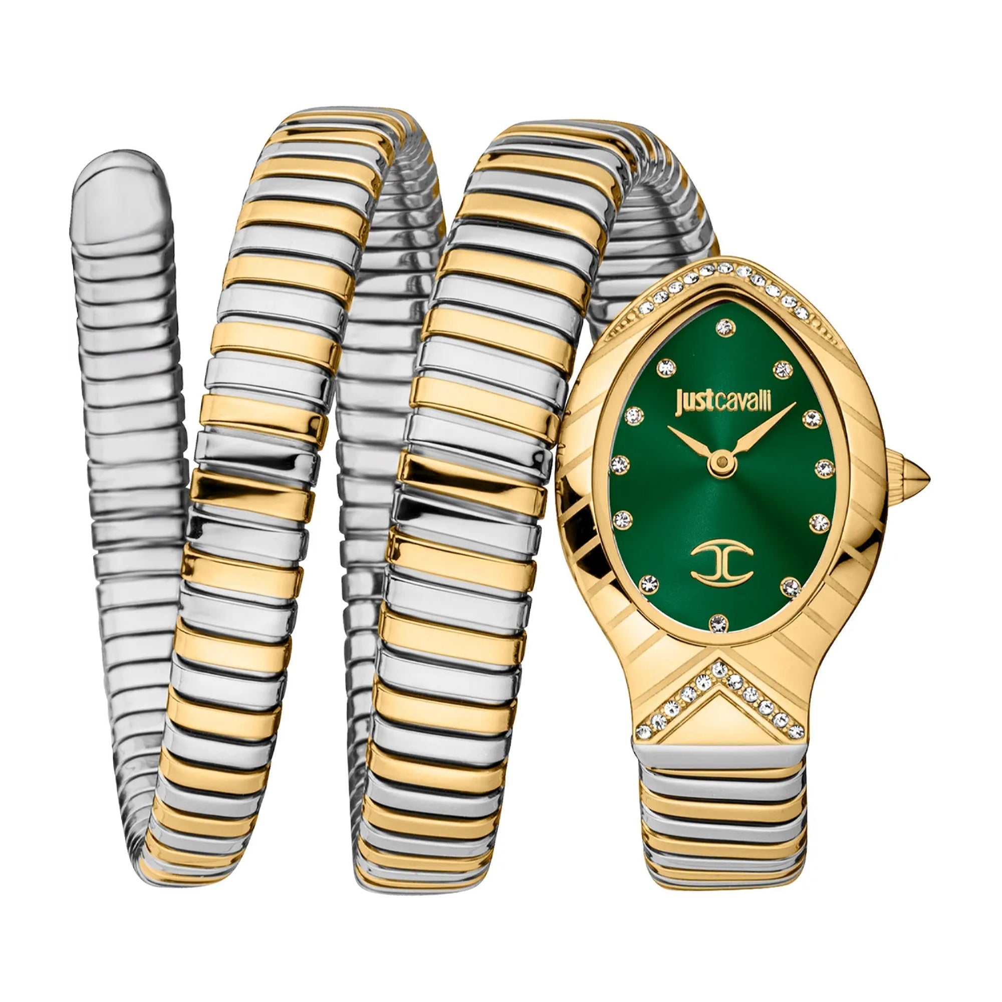 Just Cavalli Quartz Lungo Green Dial Women's Watch JC1L248M0065
