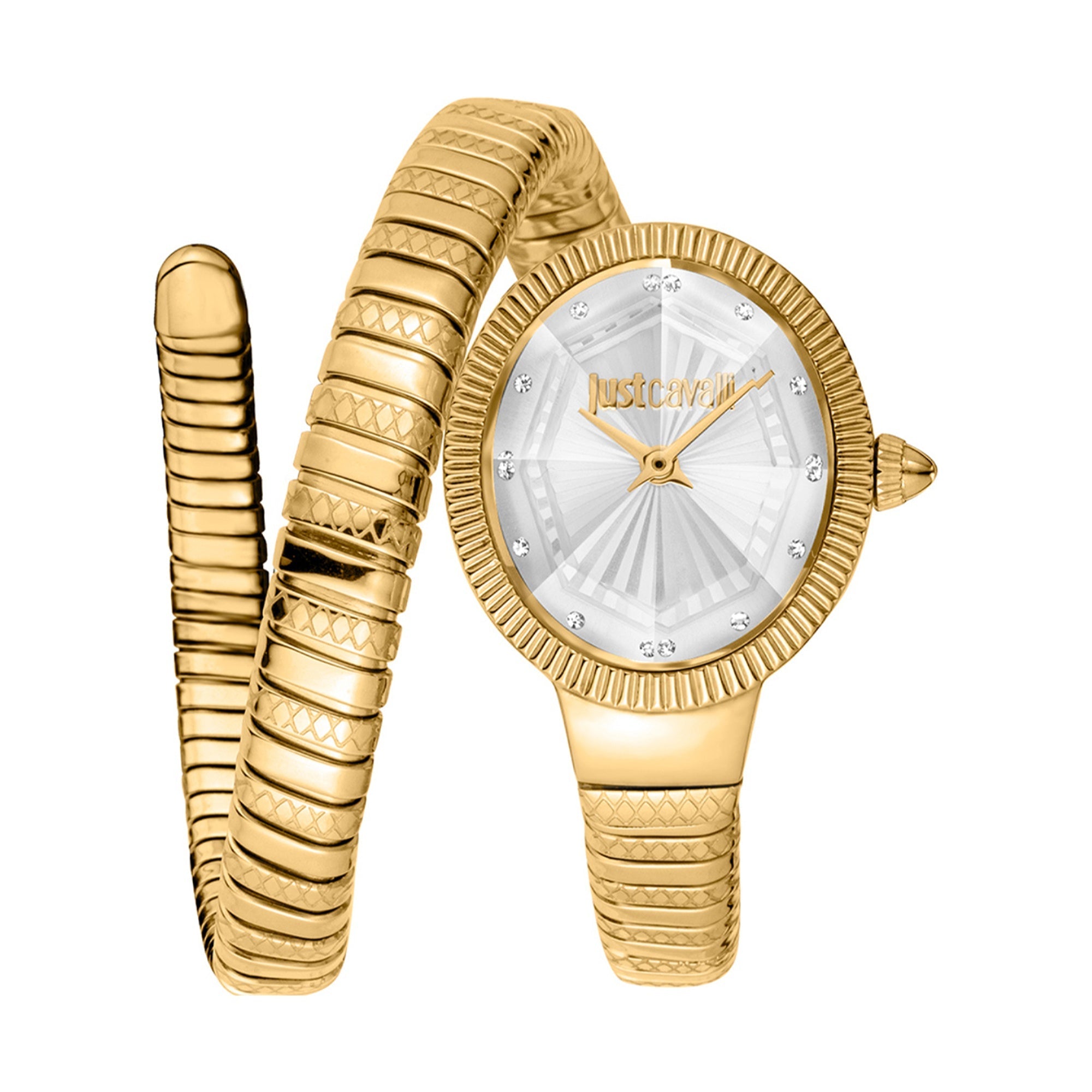 Just Cavalli Quartz Ardea Silver Dial Women's Watch JC1L268M0025