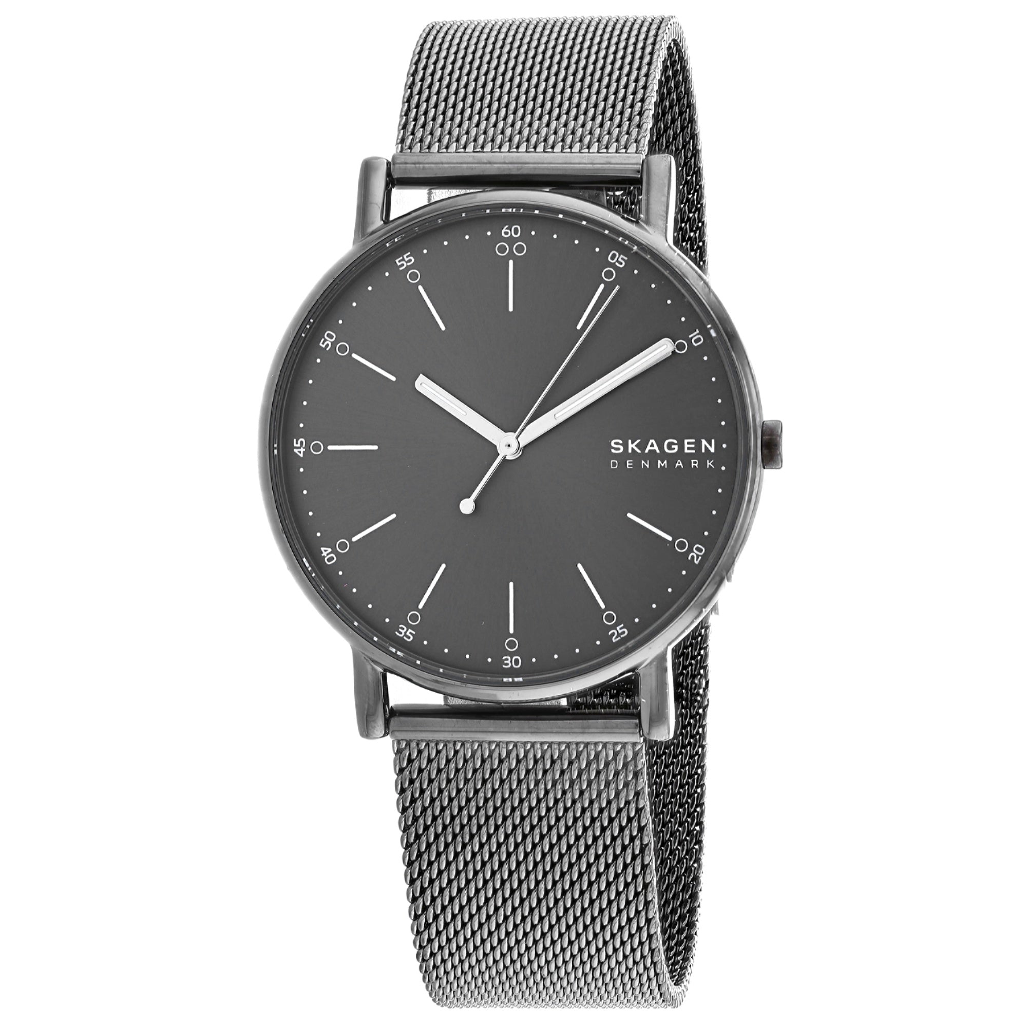 Skagen Quartz Signatur Grey Dial Men's Watch SKW6577