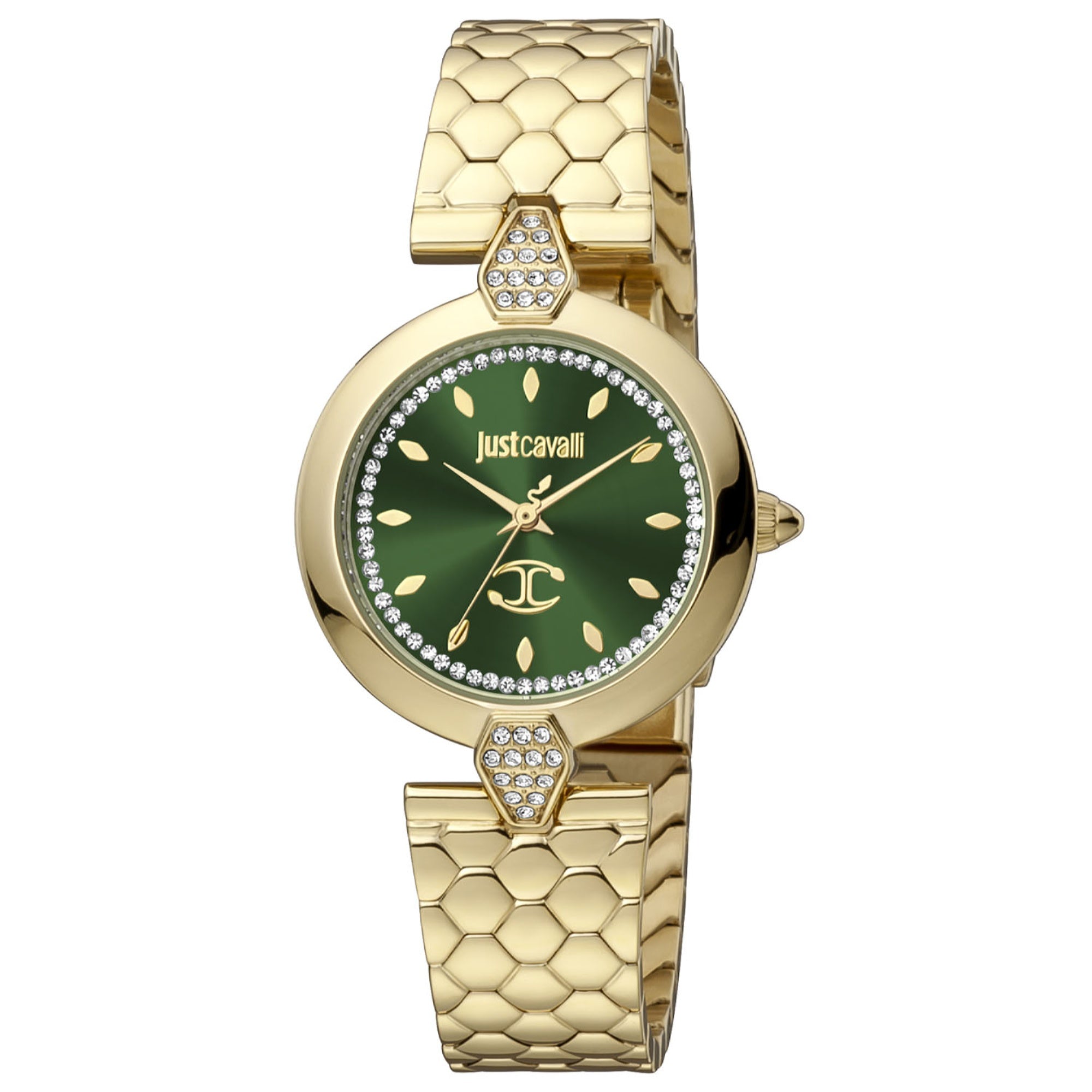 Just Cavalli  Quartz Donna Green Dial Women's Watch JC1L194M0065