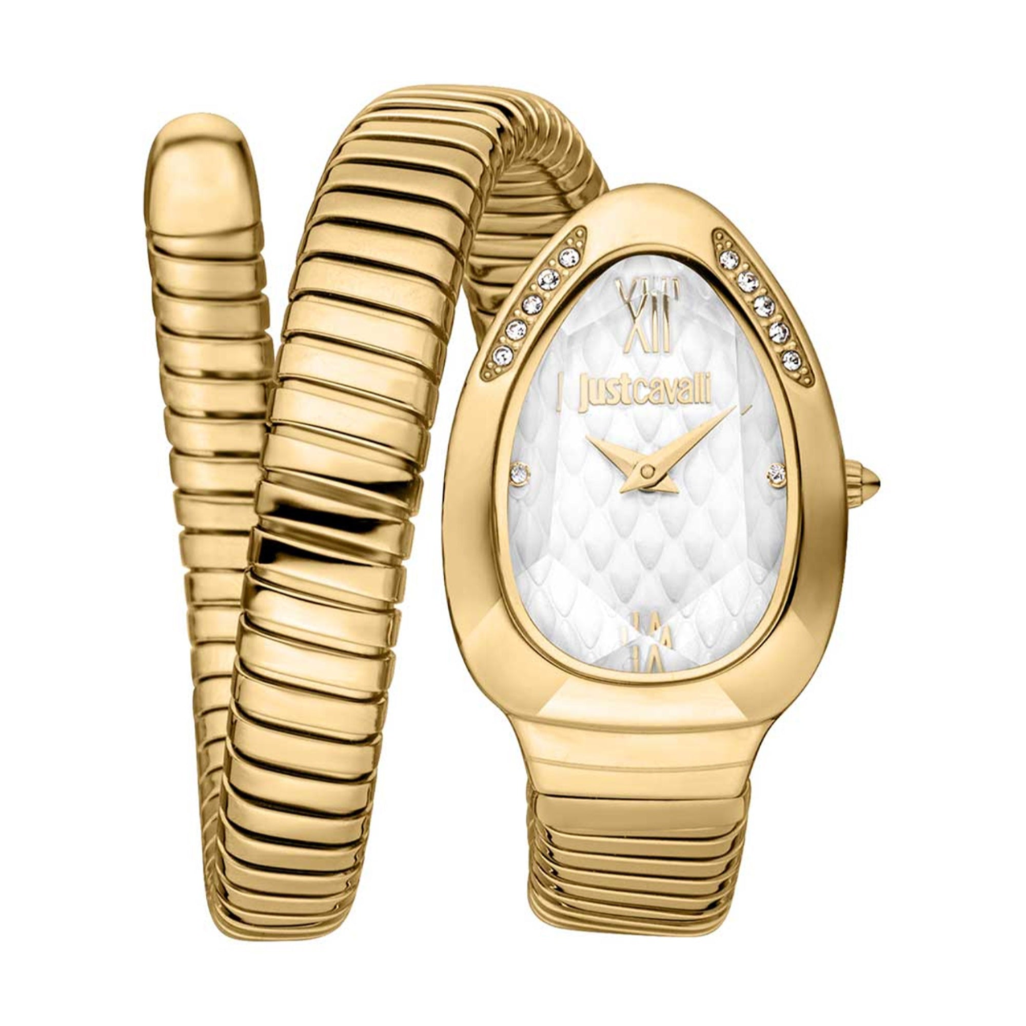 Just Cavalli  Quartz Taglio Silver Dial Women's Watch JC1L223M0025