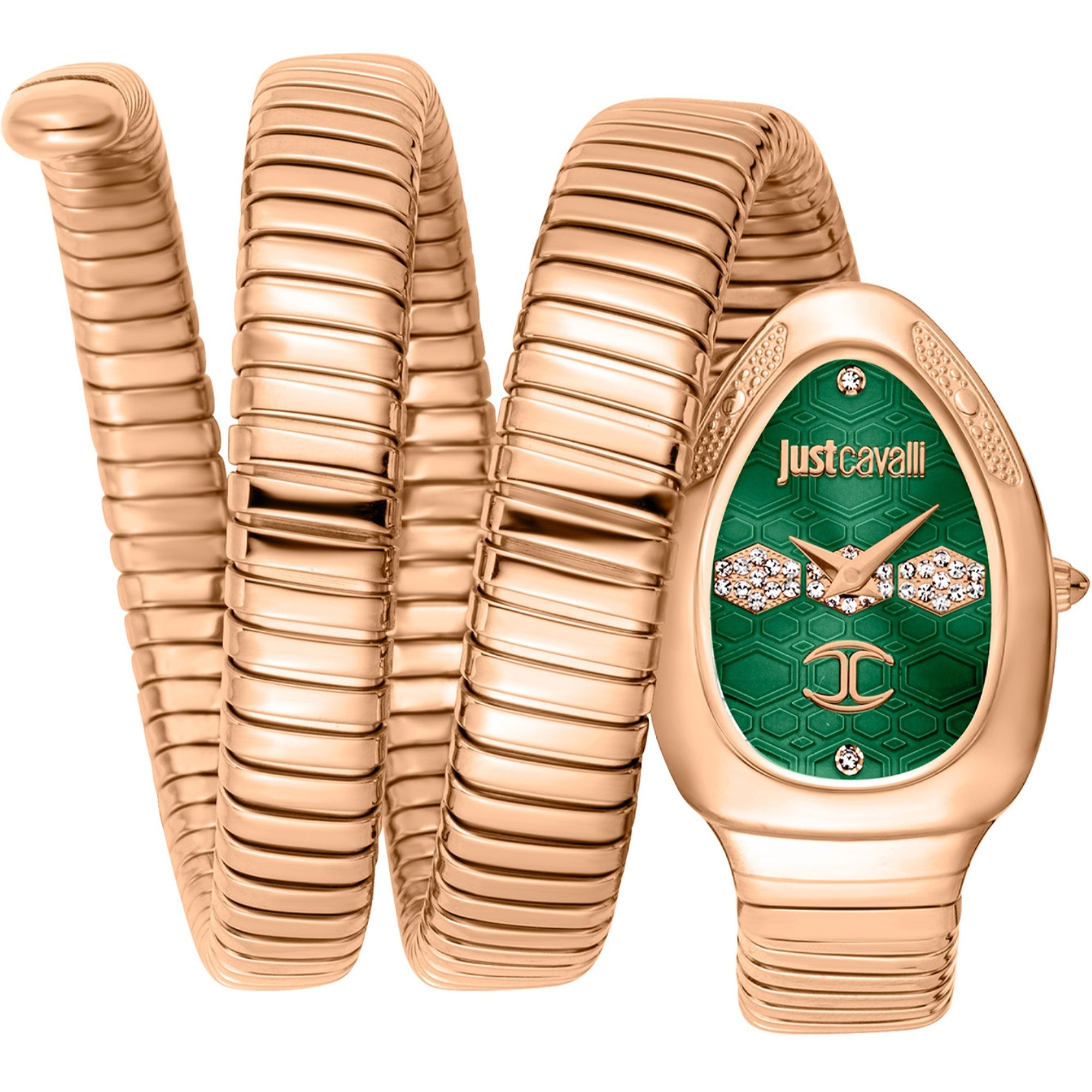 Just Cavalli  Quartz Cosenza Green Dial Women's Watch JC1L232M0045