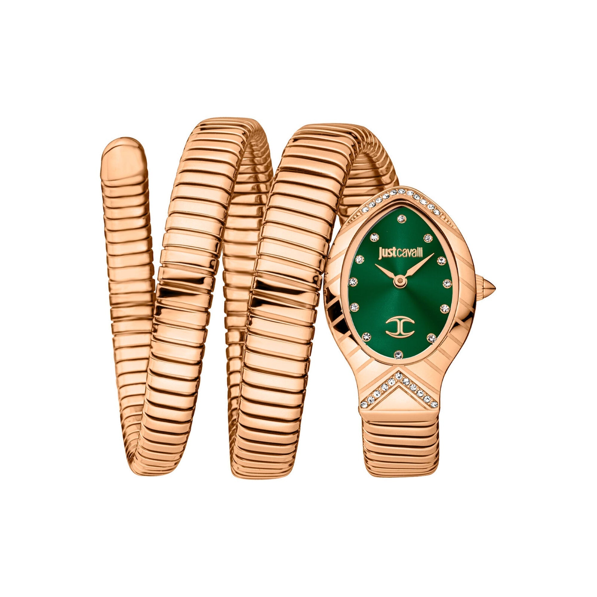 Just Cavalli Just Cavalli Quartz Green Dial Women's Watch JC1L248M0045