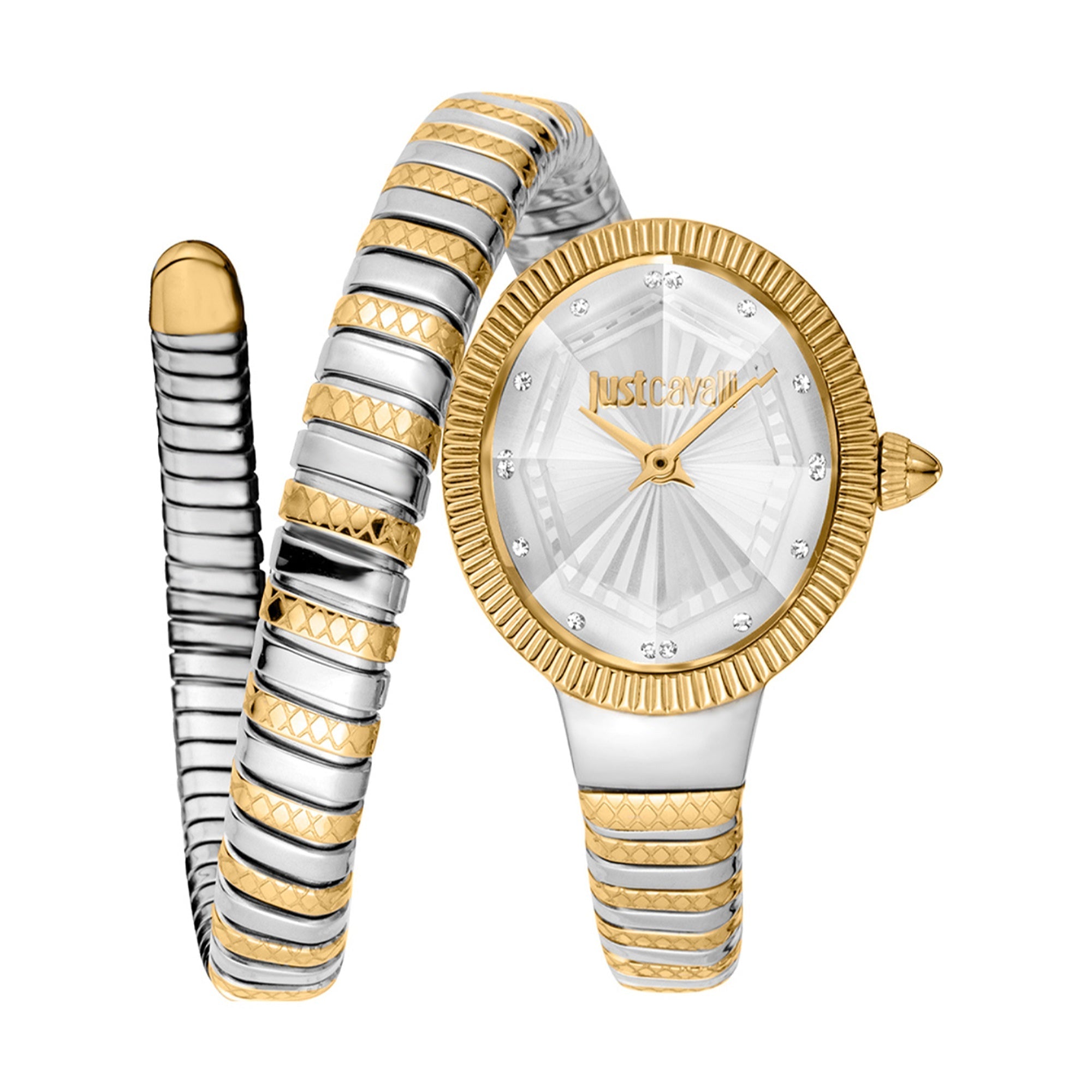 Just Cavalli  Quartz Ardea Silver Dial Women's Watch JC1L268M0055