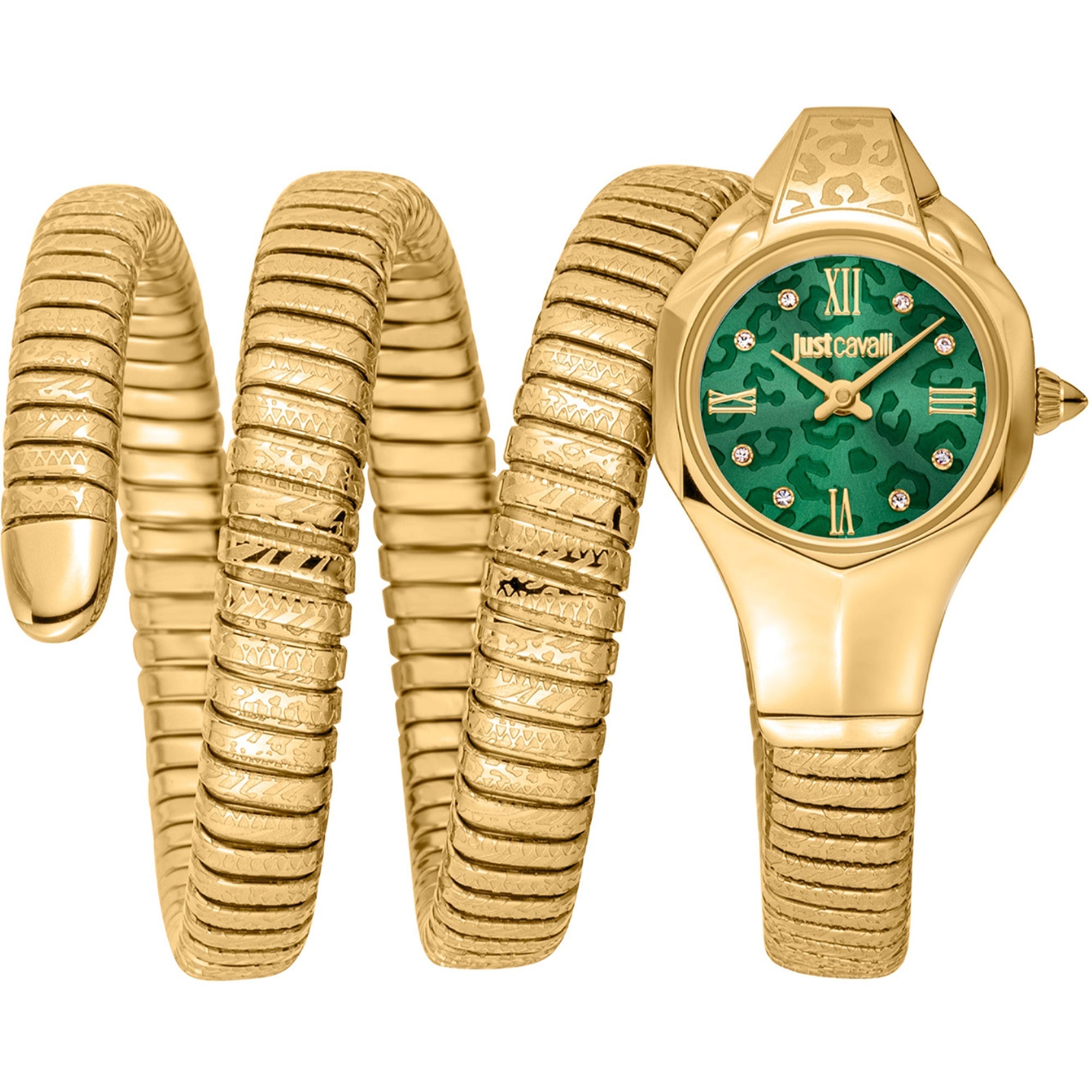 Just Cavalli  Quartz Ravenna Green Dial Women's Watch JC1L271M0035